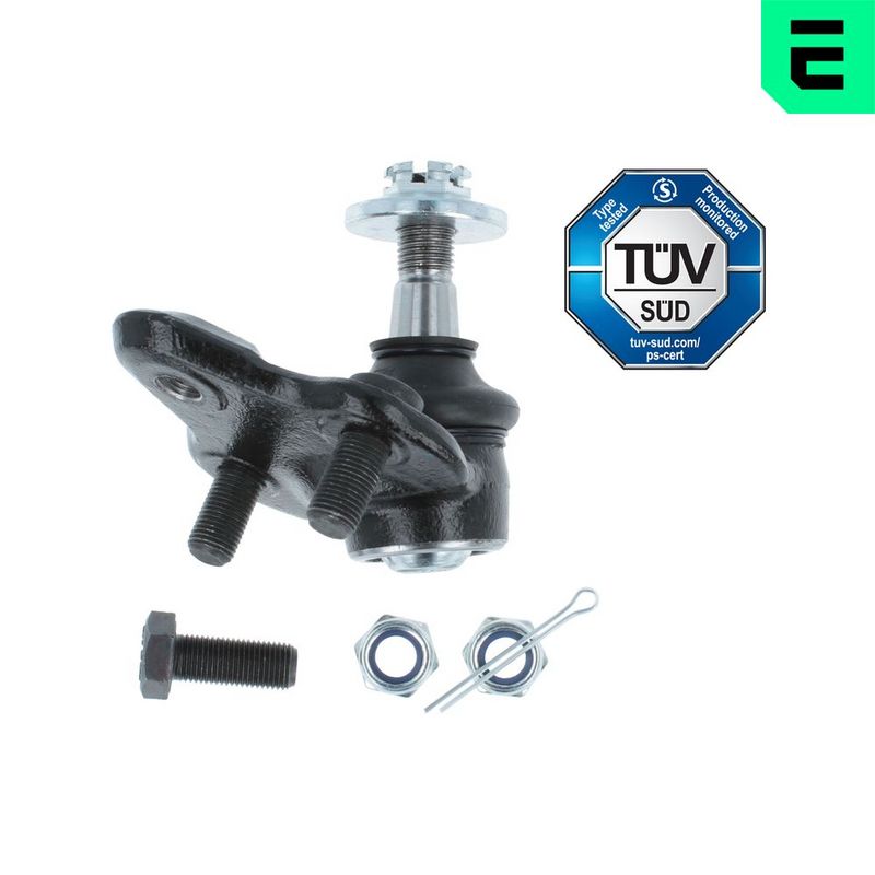 Kande-, juhtliigend,...