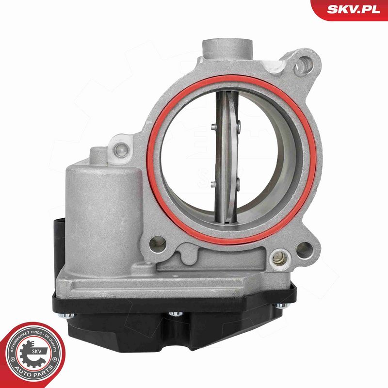 ESEN SKV 12SKV160 Throttle Body