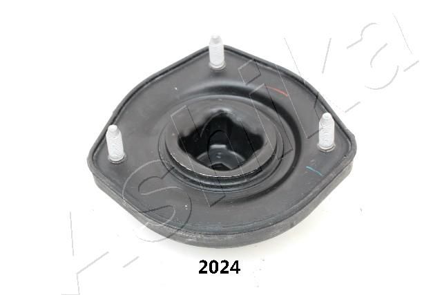 GOM-2024_2.JPG