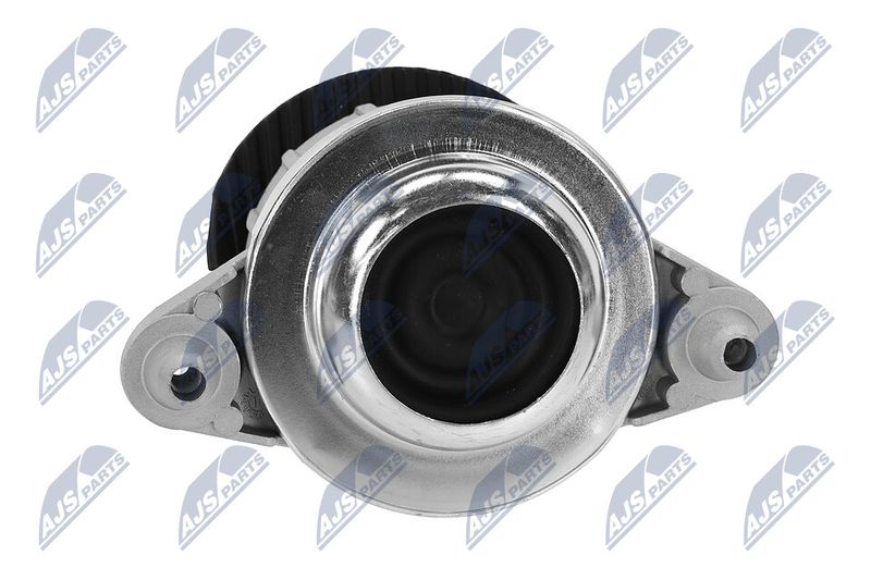 Paigutus, Mootor, NTY ZPS-ME-015