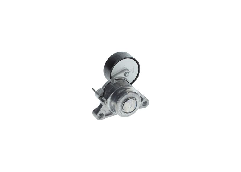 1987600316 BOSCH Tendicinghia, Cinghia Poly-V 