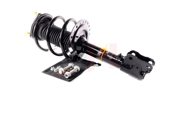 Vedruamort, GH GH-353057C01