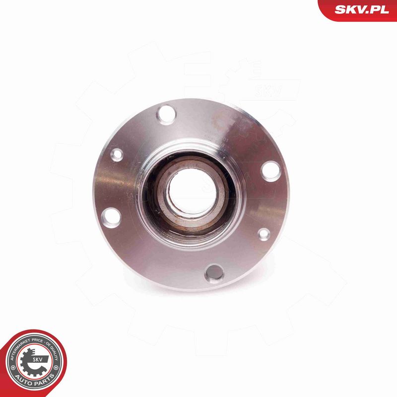 ESEN SKV 29SKV101 Wheel Bearing Kit