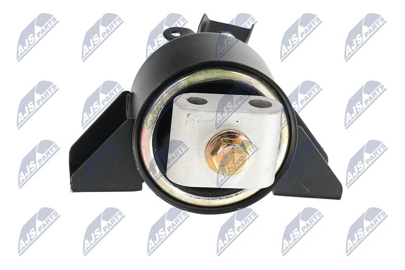 Paigutus, Mootor, NTY ZPS-DW-010