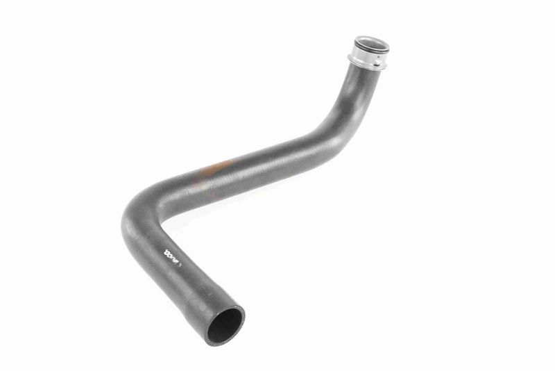 VAICO V10-4336 Radiator Hose