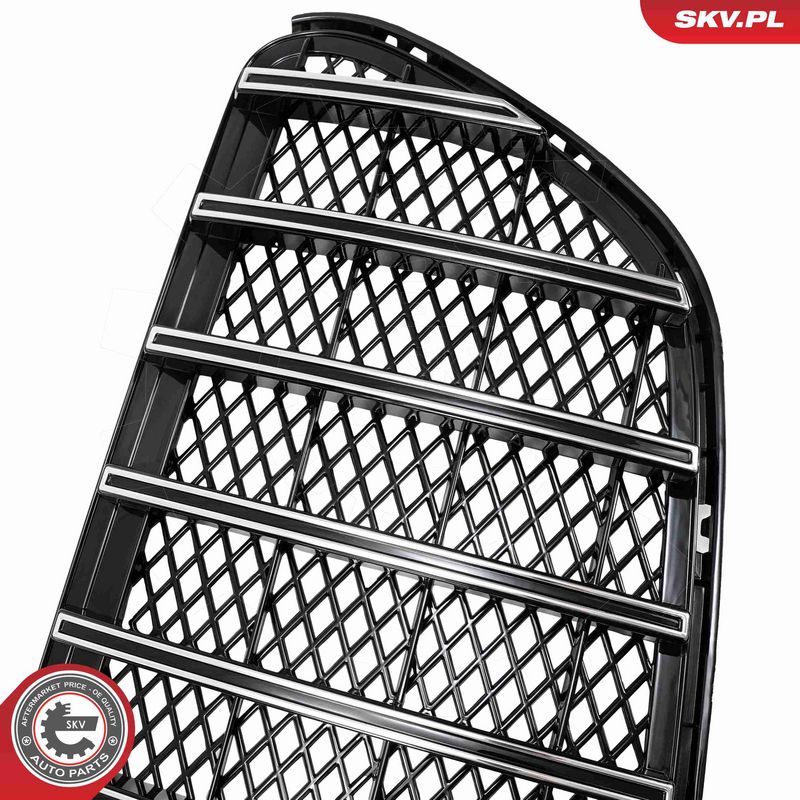 Radiaatorivõre, ESEN SKV 66SKV617