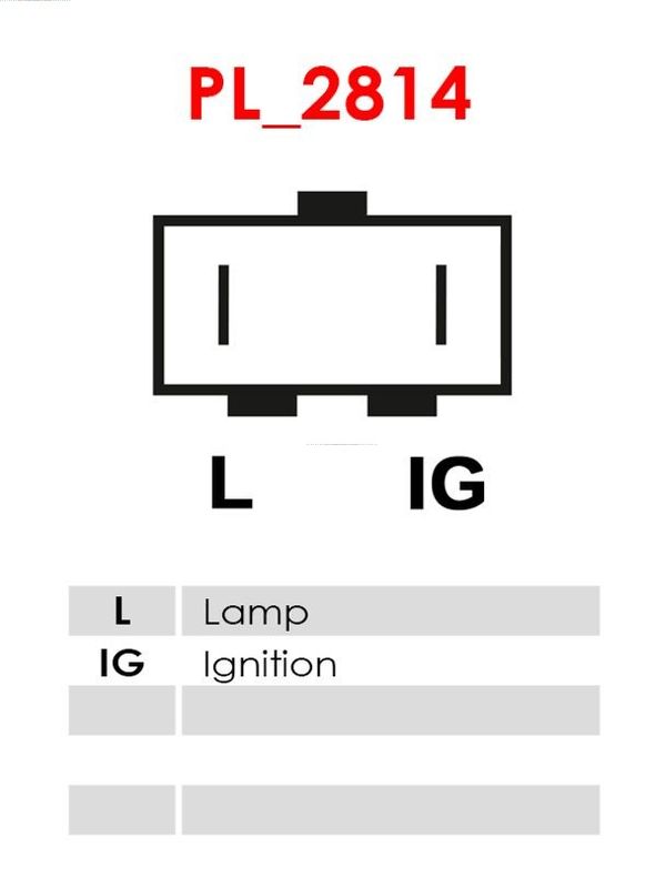 239058.JPG