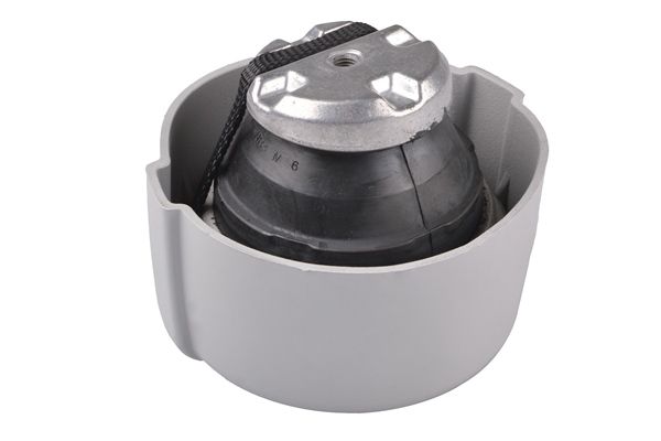 TEDGUM TED53015 Mounting, engine
