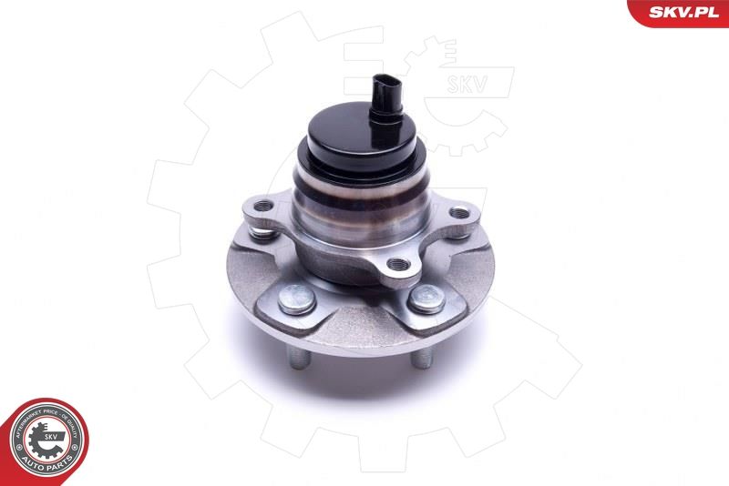 ESEN SKV 29SKV497 Wheel Bearing Kit
