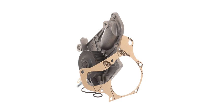 SKF VKPC91613 Water Pump, engine cooling