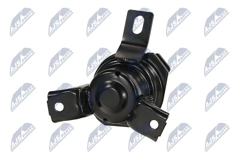Paigutus, Mootor, NTY ZPS-MS-069