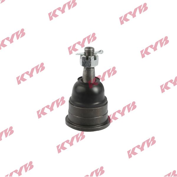 KYB-KBJ4334.JPG
