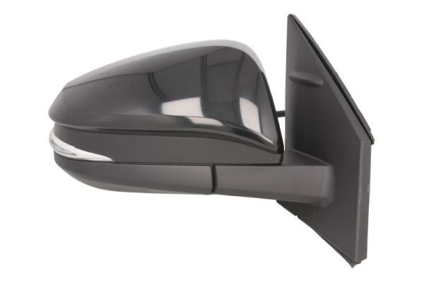 BLIC 5402-19-2002536P Exterior Mirror
