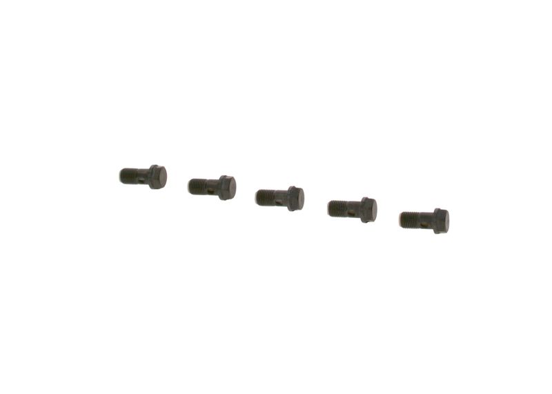 Surub F 019 D01 024 BOSCH