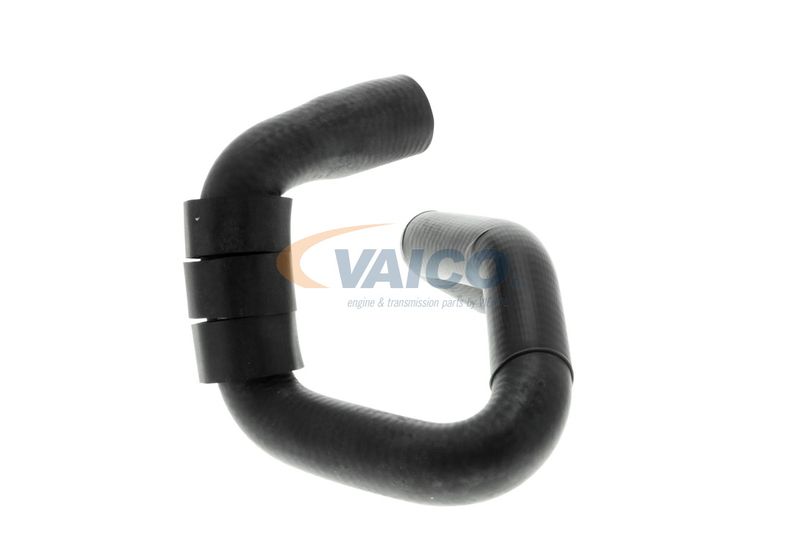 VAICO V10-4664 Talosa Radiator Hose