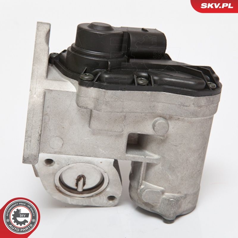 EGR-klapp, ESEN SKV 14SKV086
