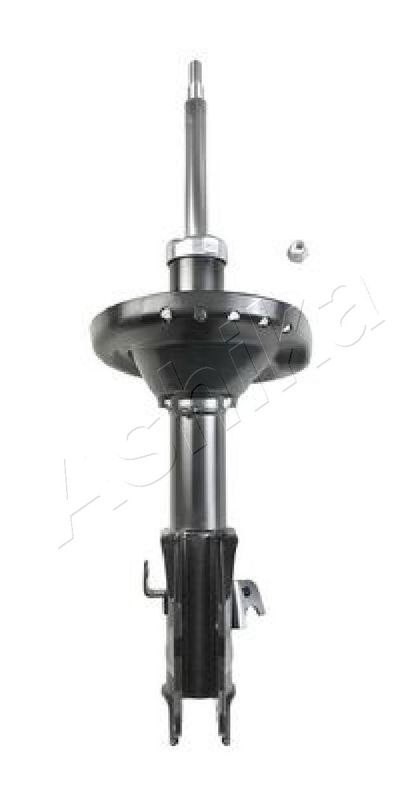 MA-70067_1.JPG