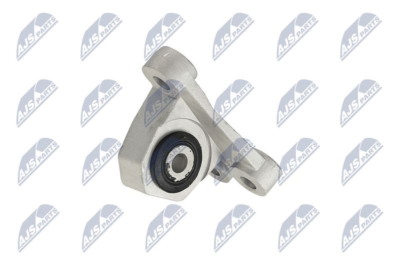 Paigutus, Mootor, NTY ZPS-CH-118