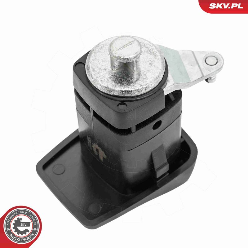 ESEN SKV 97SKV173 Lock Cylinder Kit