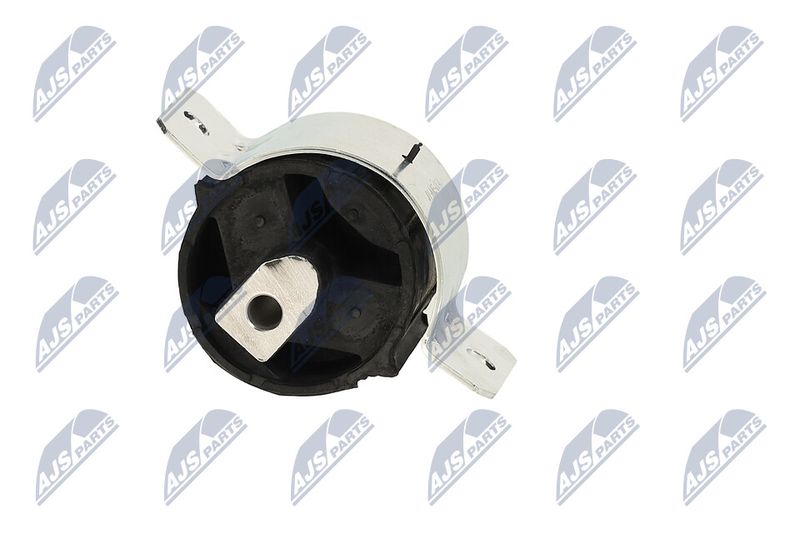 Paigutus, Mootor, NTY ZPS-ME-004