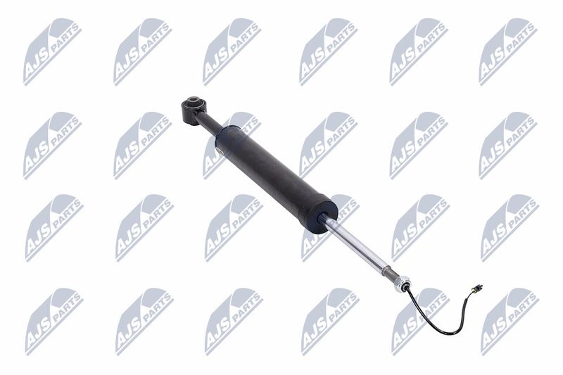 Amort, NTY A-MA-002