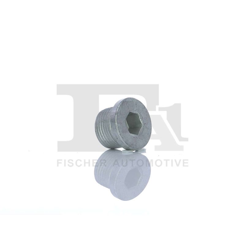 FA1 257.858.001 Screw Plug, oil sump