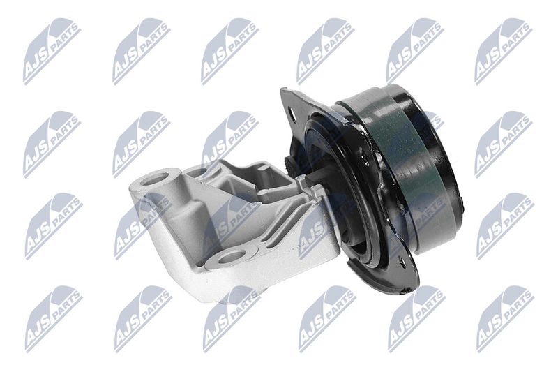 Paigutus, Mootor, NTY ZPS-CH-147