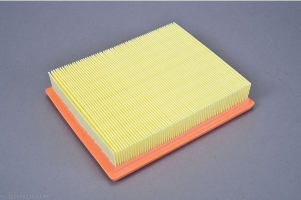 AUTOMEGA 180034110 Air Filter