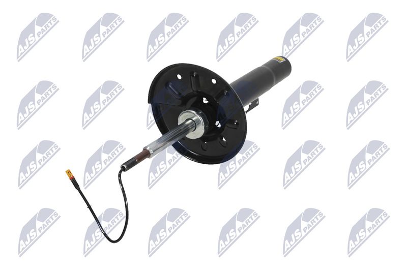 Amort, NTY A-PS-009