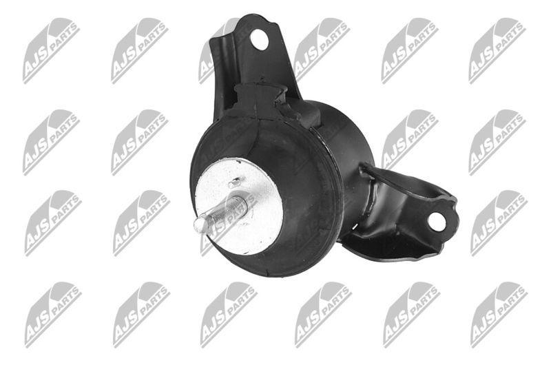 Paigutus, Mootor, NTY ZPS-KA-304