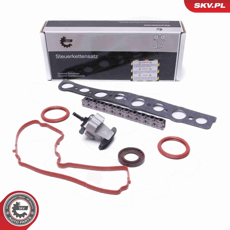 ESEN SKV 21SKV254 - Timing Chain Kit