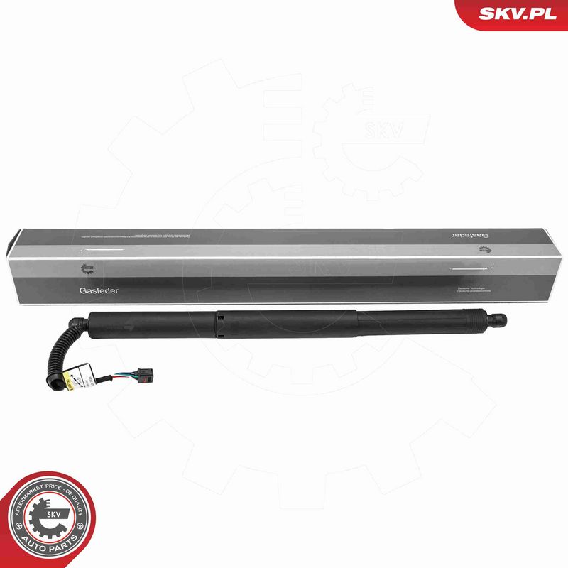 ESEN SKV 52SKV205 - Electric Motor, tailgate