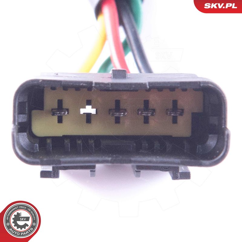 Pesuri mootor, ESEN SKV 19SKV161