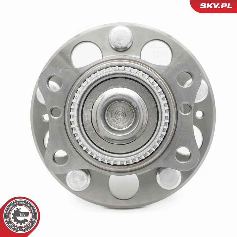 ESEN SKV 29SKV669 Wheel Bearing Kit