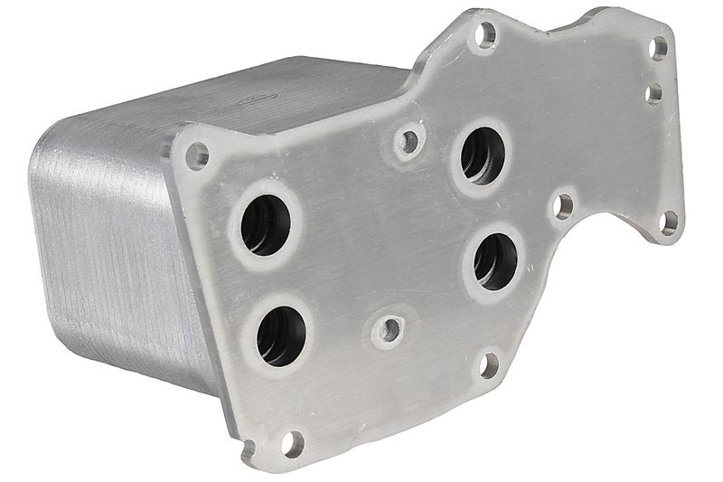 Prekės atitinka OEM kodą: 11 42 8 585 625