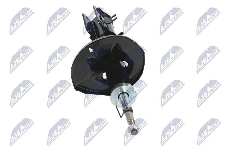 Amort, NTY A-CH-052