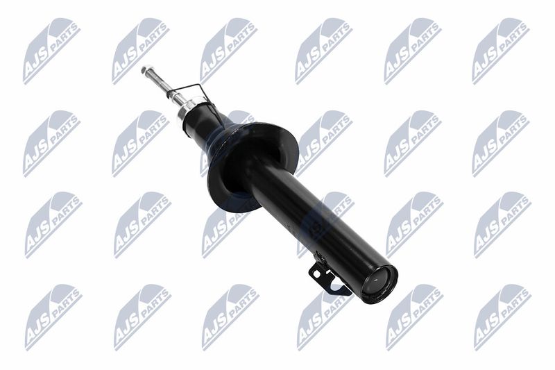 Amort, NTY A-CH-065