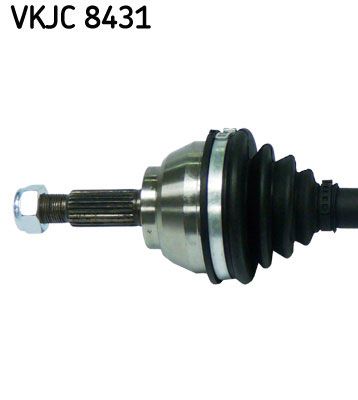 VKJC 8431_2.JPG