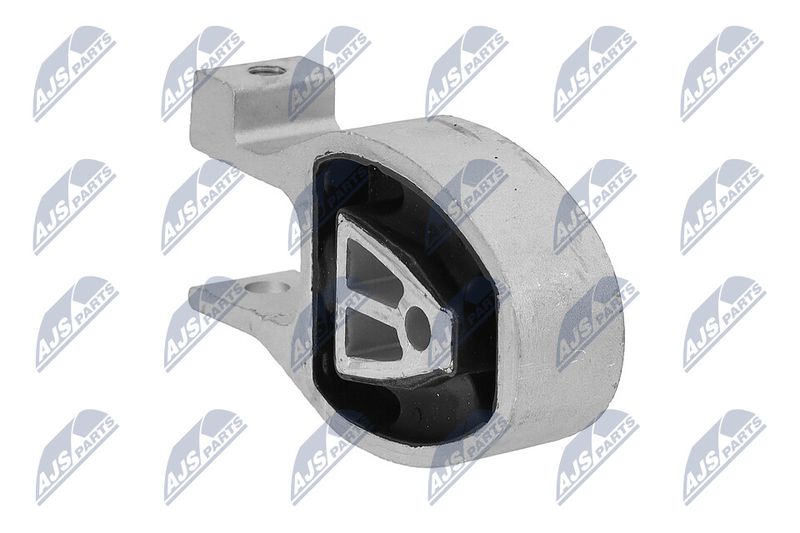 Paigutus, Mootor, NTY ZPS-FR-038