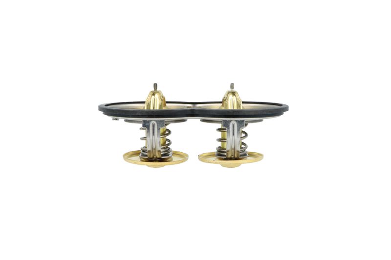 Termostat, chladivo 725374
