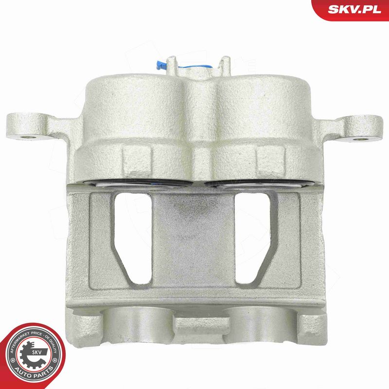 ESEN SKV 67SKV502 Brake Caliper