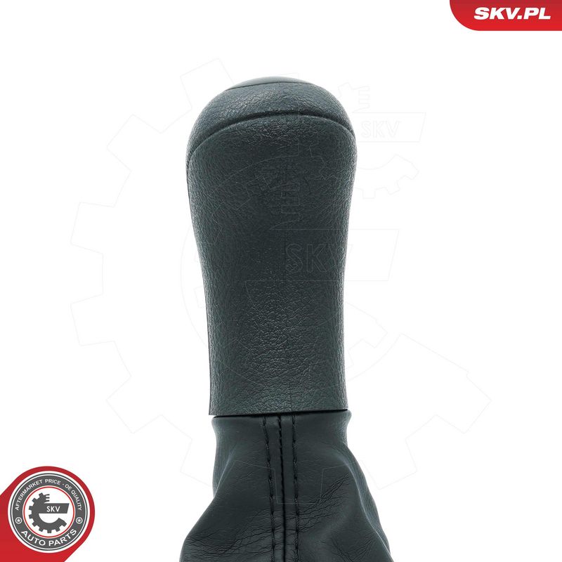 Käigukanginupp, ESEN SKV 63SKV479