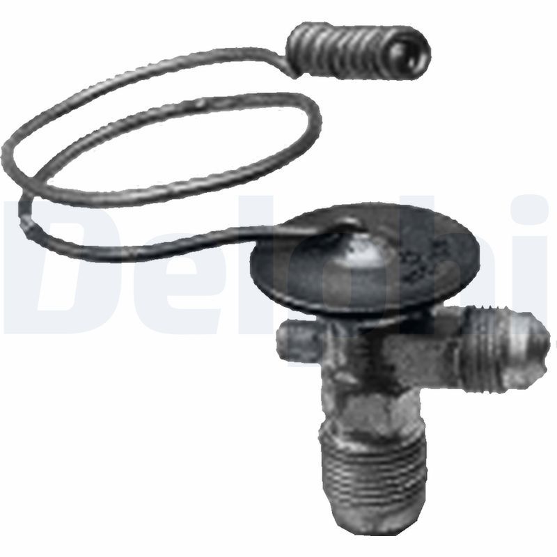 TSP0585025.JPG