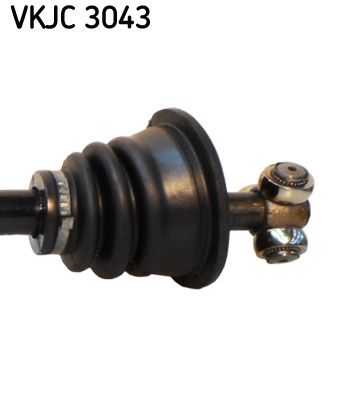VKJC 3043_3.JPG