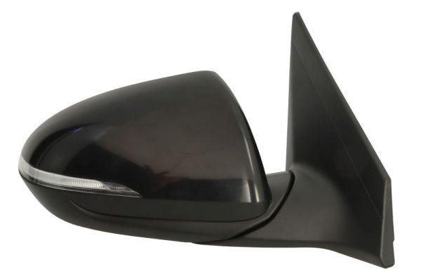 BLIC 5402-20-1729317P Exterior Mirror