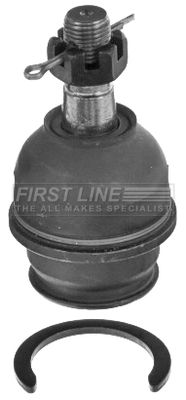 FBJ5736_1504169.JPG