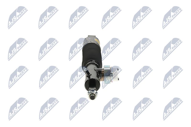 Amort, NTY A-NS-055