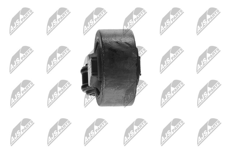 Paigutus, Mootor, NTY ZPS-CH-117