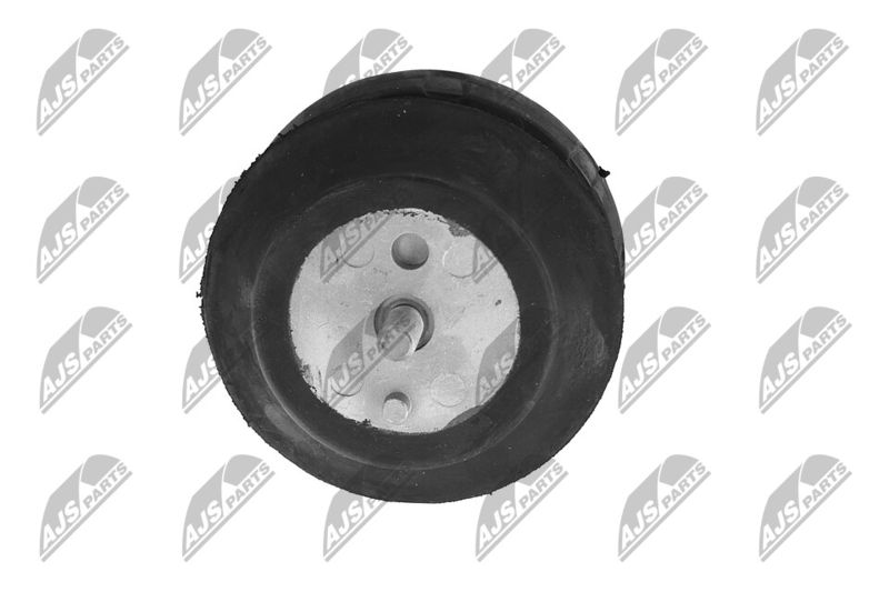 Paigutus, Mootor, NTY ZPS-CH-070