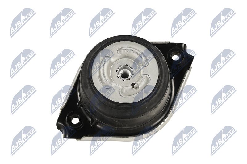 Paigutus, Mootor, NTY ZPS-ME-074